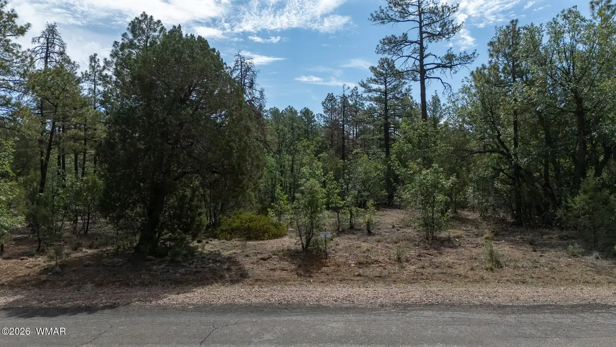Address Withheld By Seller, Lakeside, AZ 85929 - #1