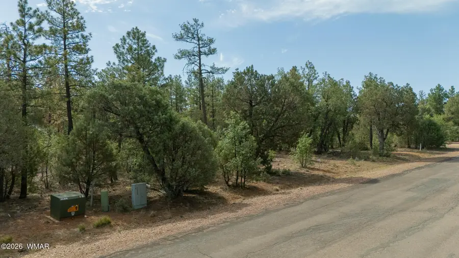 Address Withheld By Seller, Lakeside, AZ 85929 - #2
