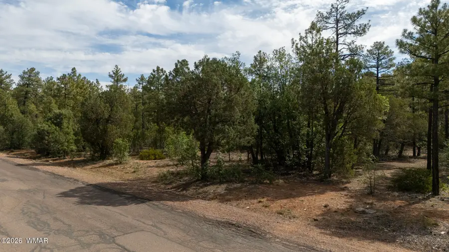 Address Withheld By Seller, Lakeside, AZ 85929 - #3