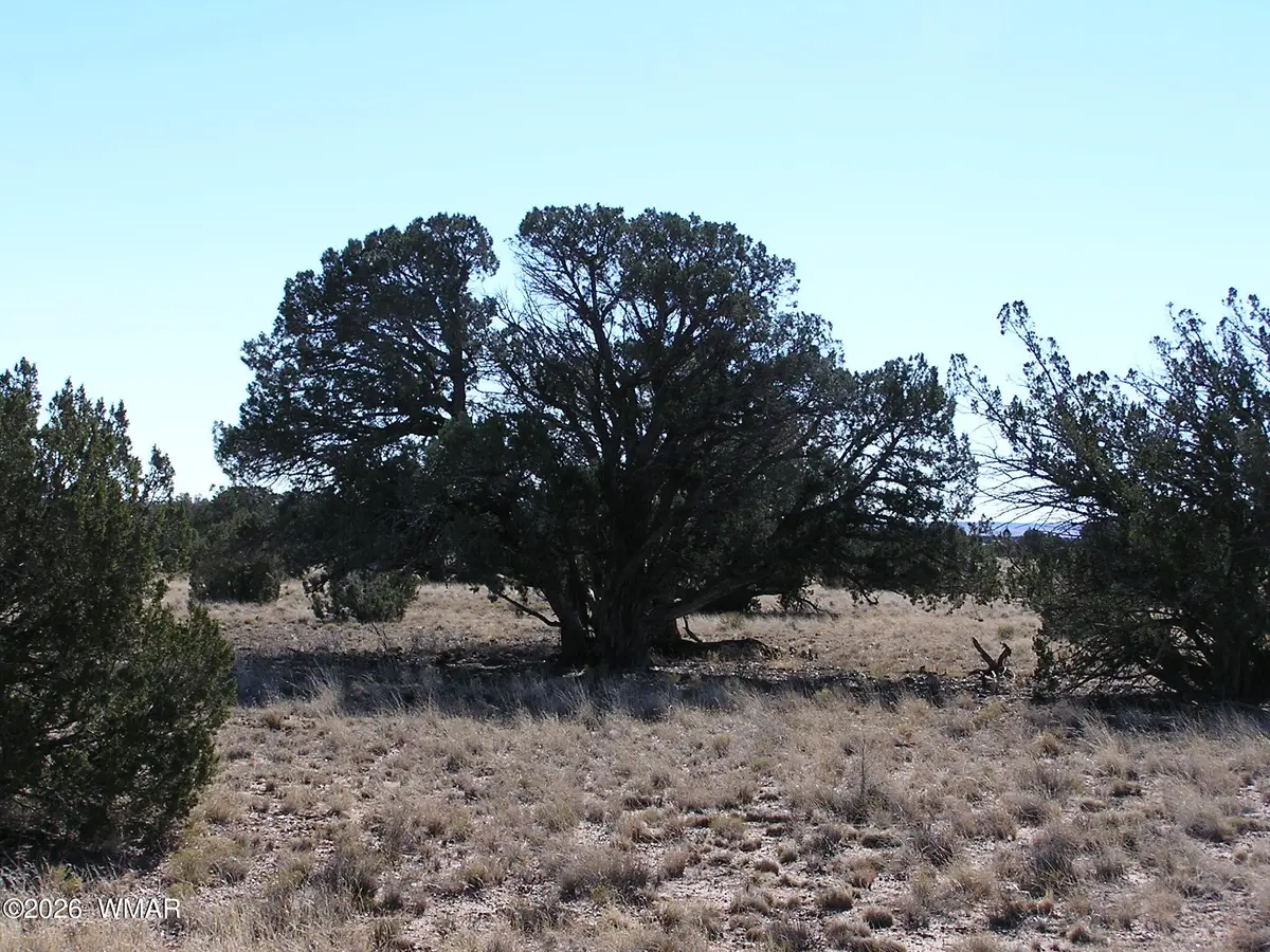9 N9131, Concho, AZ 85924 - #1