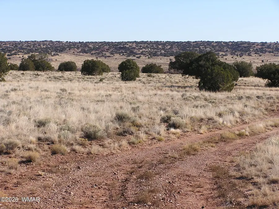 9 N9131, Concho, AZ 85924 - #2