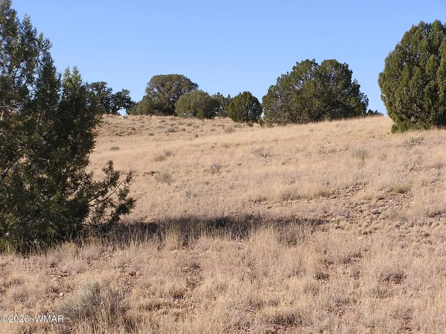 9 N9131, Concho, AZ 85924 - #3