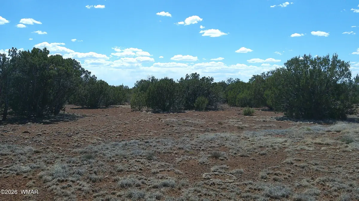 5 County Road 8077, Concho, AZ 85924 - #1