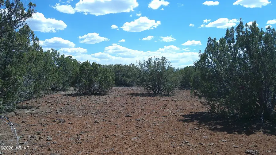 5 County Road 8077, Concho, AZ 85924 - #2