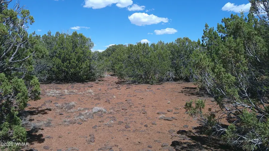 5 County Road 8077, Concho, AZ 85924 - #3