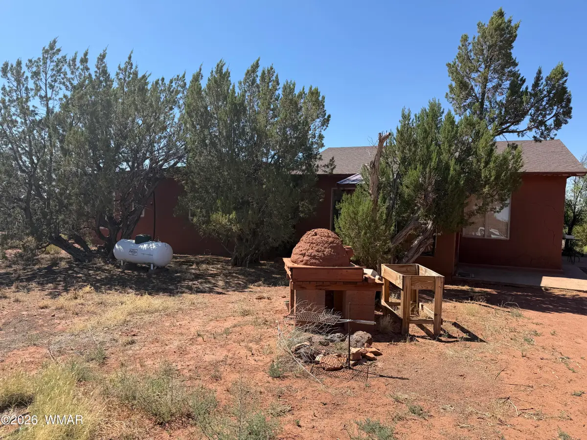 10 County Road 5463 Road, Concho, AZ 85924 - #1