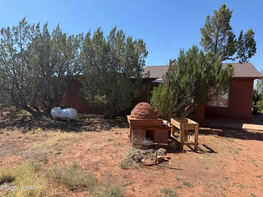 10 County Road 5463 Road, Concho, AZ 85924 - #2