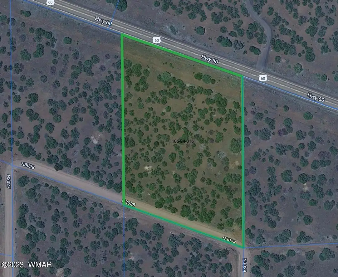 Lot 16 Acr 3028, Vernon, AZ 85940 - #1
