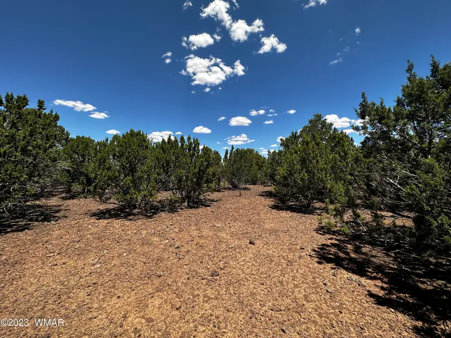 Lot 16 Acr 3028, Vernon, AZ 85940 - #2