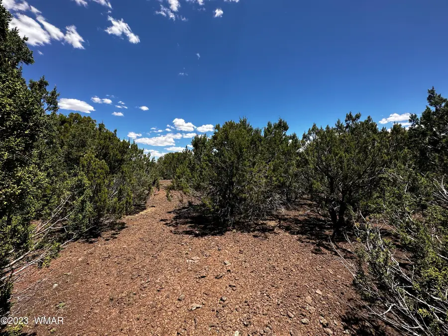 Lot 16 Acr 3028, Vernon, AZ 85940 - #3