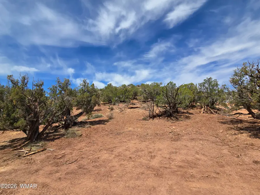 9255 Tonto Road, Snowflake, AZ 85937 - #2
