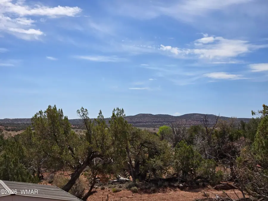 9255 Tonto Road, Snowflake, AZ 85937 - #3