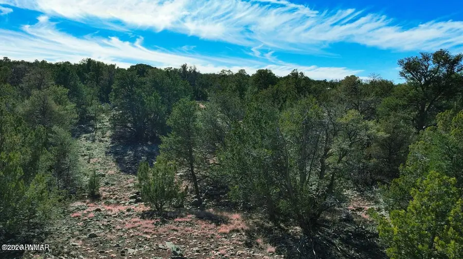 766 E Hualpai Trail, Williams, AZ 86046 - #3