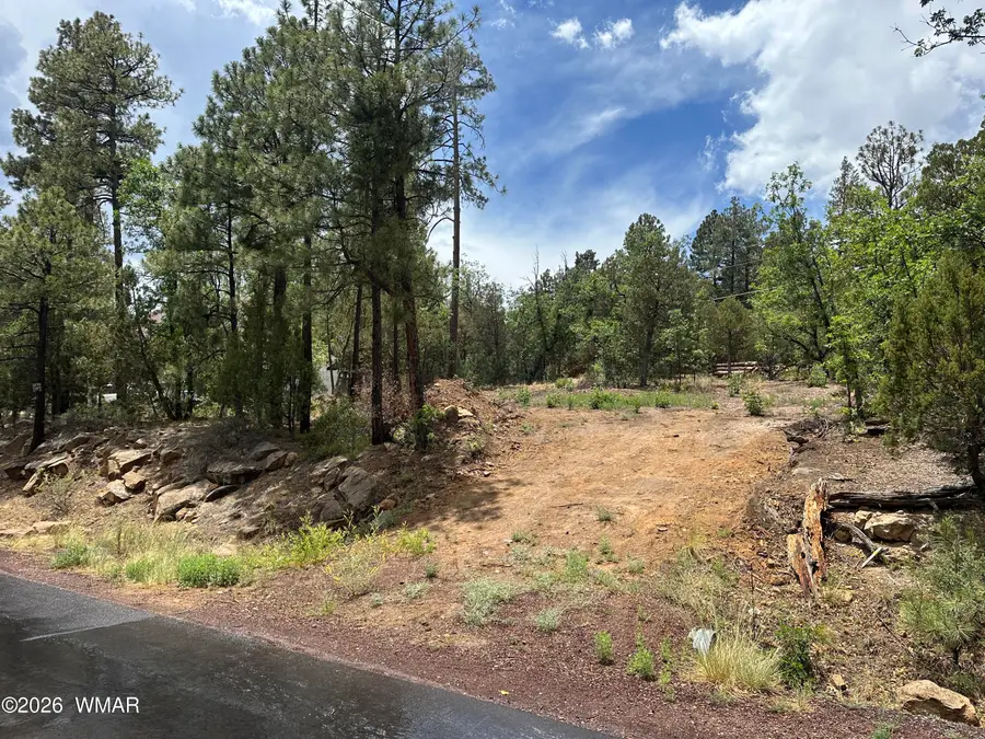 2670 Lockwood Drive, Lakeside, AZ 85929 - #2