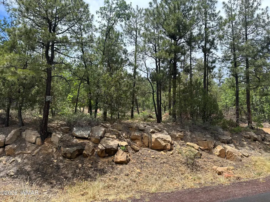 2670 Lockwood Drive, Lakeside, AZ 85929 - #3