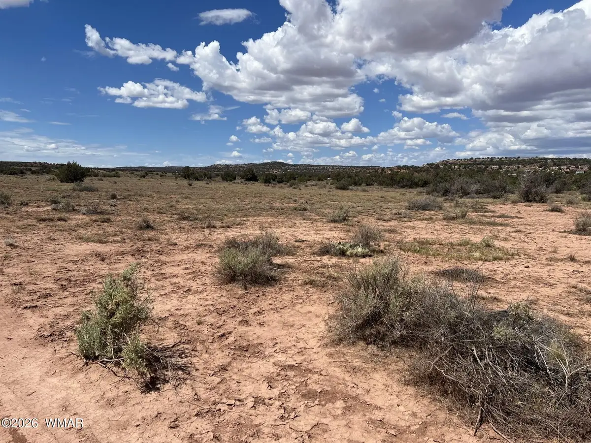 3926 Dia Estrella Road, Snowflake, AZ 85937 - #1