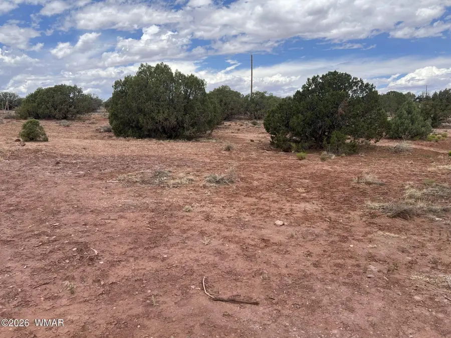 4311 Mountain View Road, Snowflake, AZ 85937 - #3