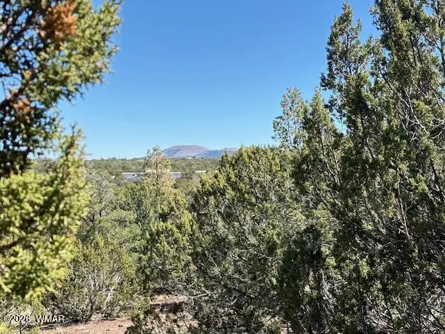 TBD N3239, Vernon, AZ 85940 - #1