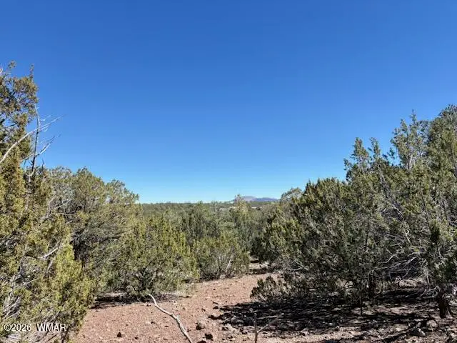 TBD N3239, Vernon, AZ 85940 - #2