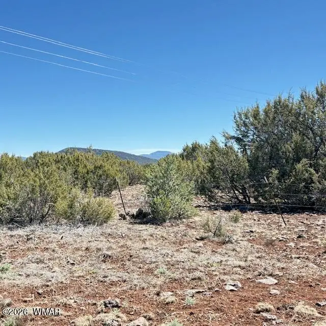 TBD N3239, Vernon, AZ 85940 - #3