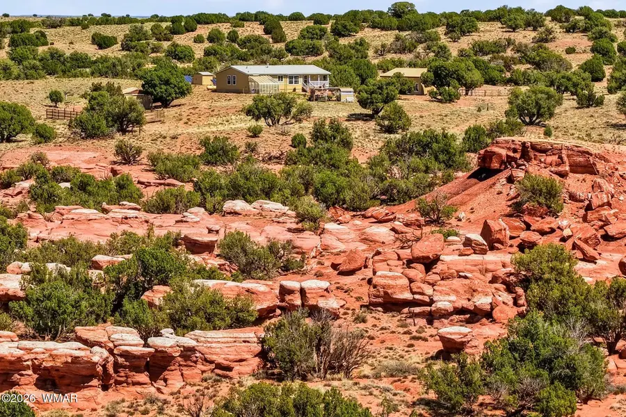 105 County Road N9328, Concho, AZ 85924 - #2