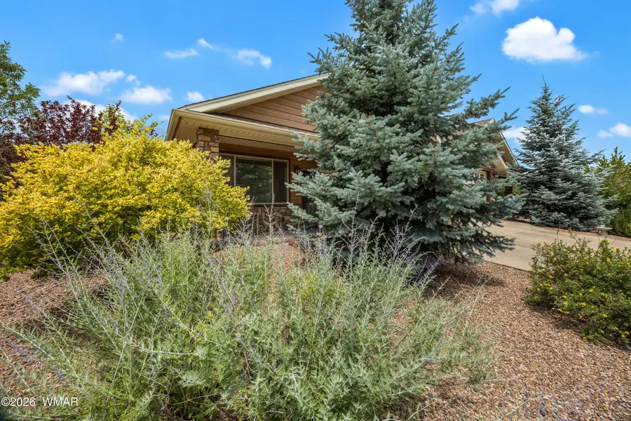 5300 S Blue Mountain Drive, Show Low, AZ 85901 - #3