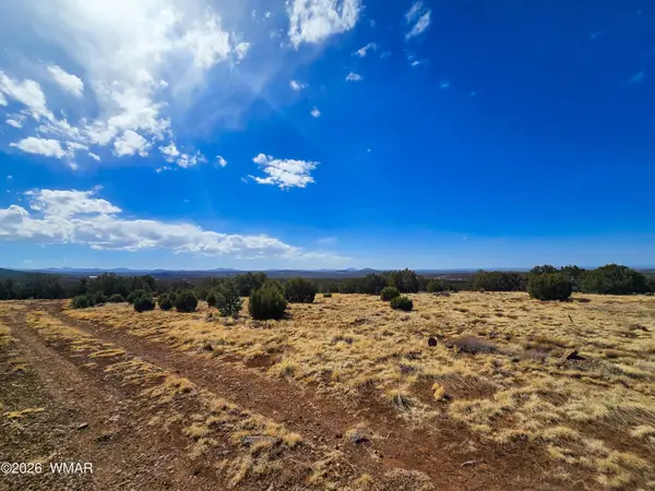 Lot 468 Show Low Pines Unit 3, Concho, AZ 85924