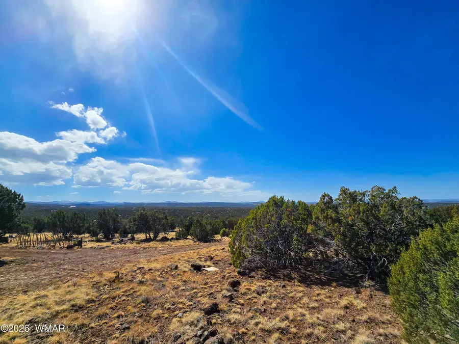 Lot 468 Show Low Pines Unit 3, Concho, AZ 85924 - #2