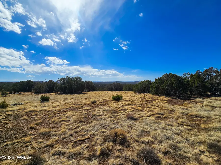 Lot 468 Show Low Pines Unit 3, Concho, AZ 85924 - #3