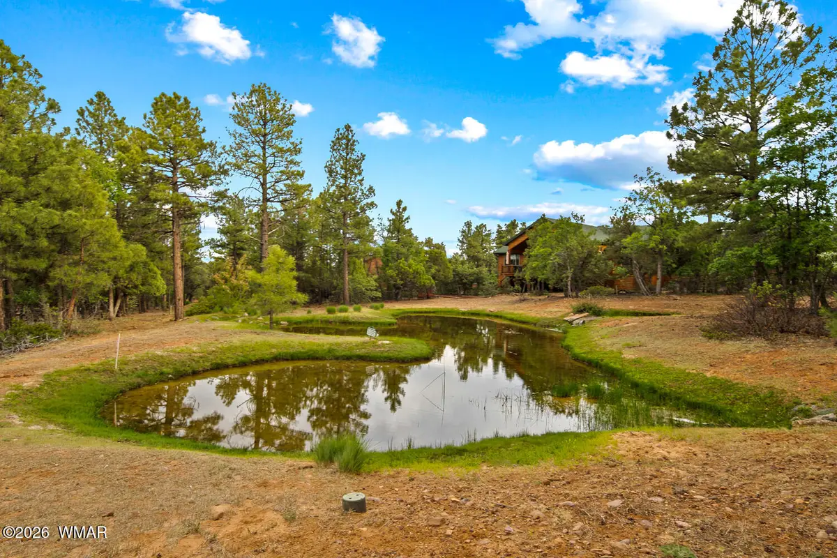 4401 W Shaggy Bark Road, Show Low, AZ 85901 - #1