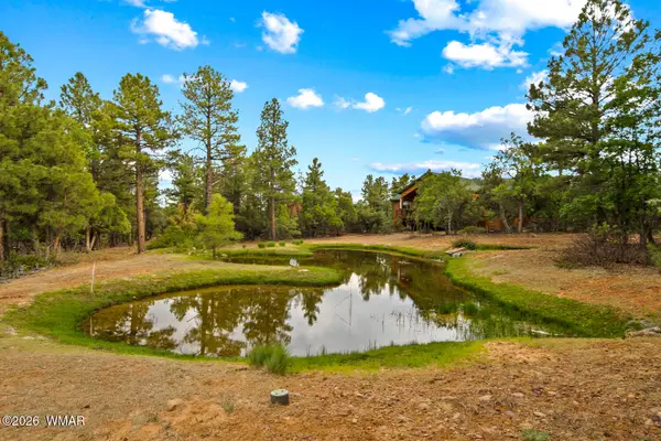 4401 W Shaggy Bark Road, Show Low, AZ 85901