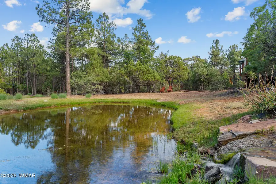 4401 W Shaggy Bark Road, Show Low, AZ 85901 - #2