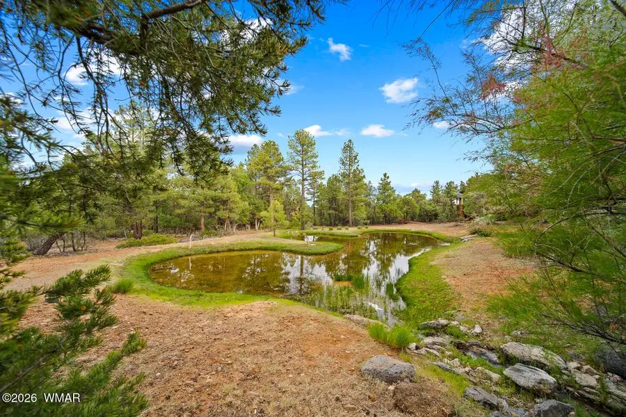 4401 W Shaggy Bark Road, Show Low, AZ 85901 - #3