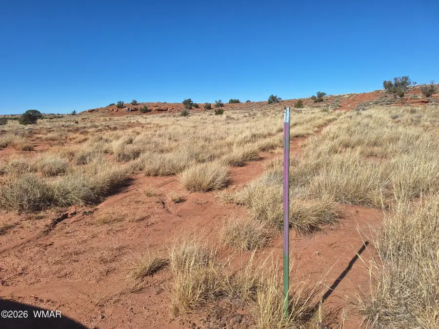 8028 Dawn Star Trail, Snowflake, AZ 85937 - #3