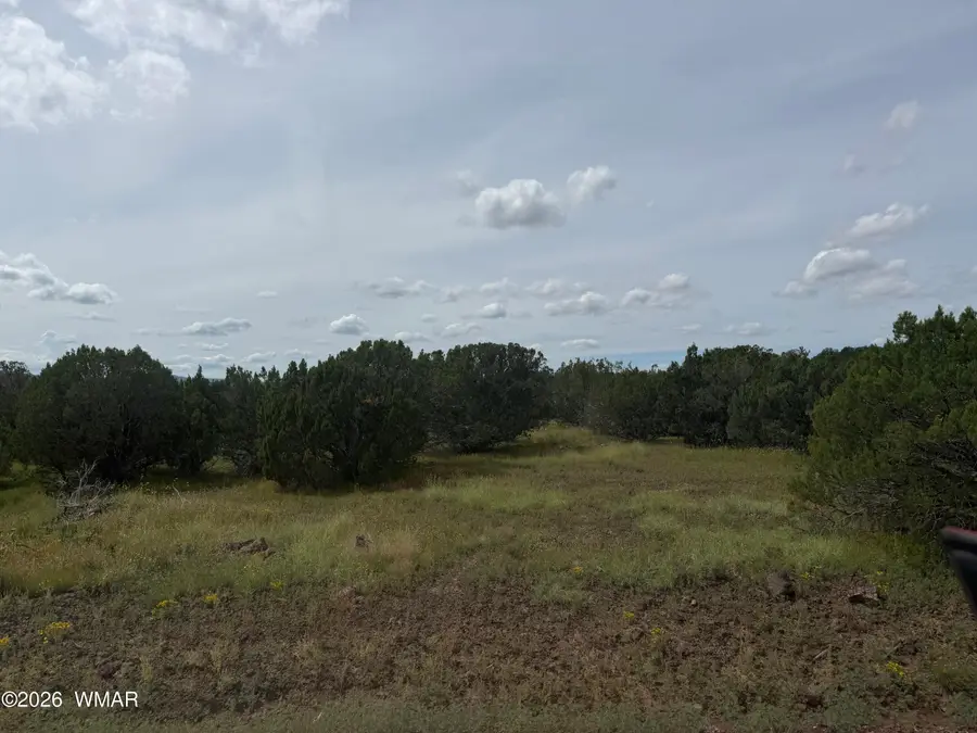 29 N3320, Vernon, AZ 85940 - #3