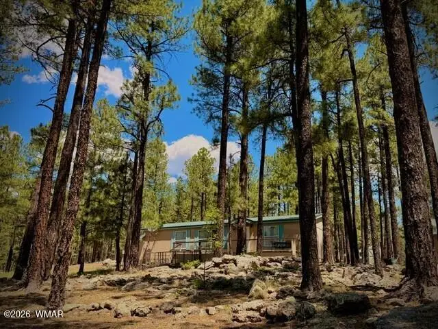 7 N 2132, Alpine, AZ 85920 - #3