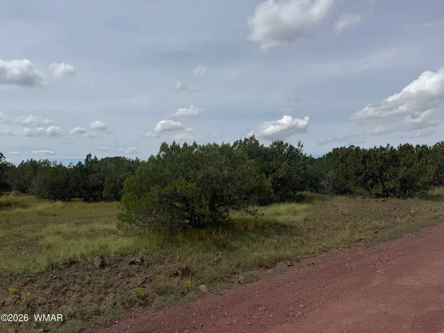 31 N3320, Vernon, AZ 85940 - #3