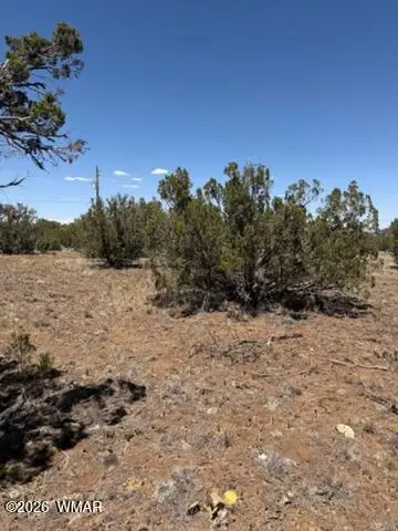 8476 Elkhorn Drive, Show Low, AZ 85901