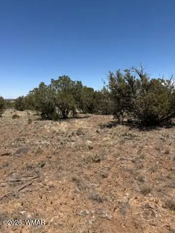 8476 Elkhorn Drive, Show Low, AZ 85901 - #3
