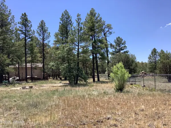 1421 Zola Street, Lakeside, AZ 85929