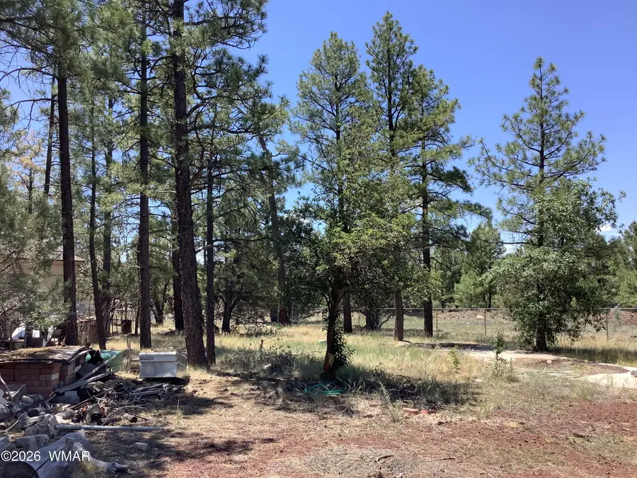 1421 Zola Street, Lakeside, AZ 85929 - #2