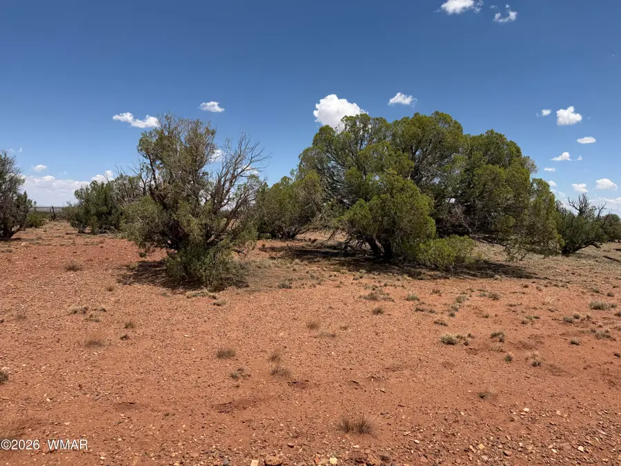 20 N 9160, Concho, AZ 85924 - #2
