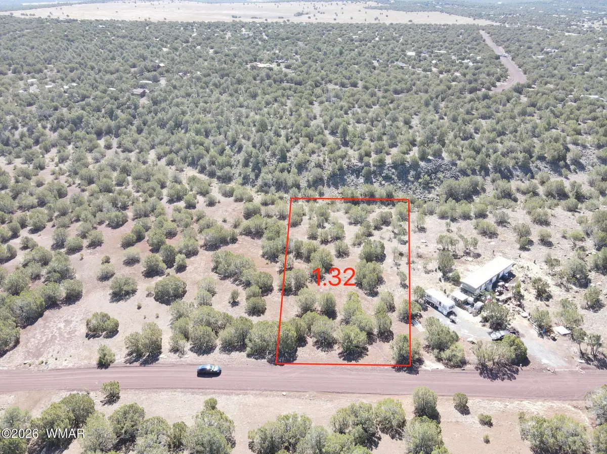 50 County Road 3190, Vernon, AZ 85940 - #1