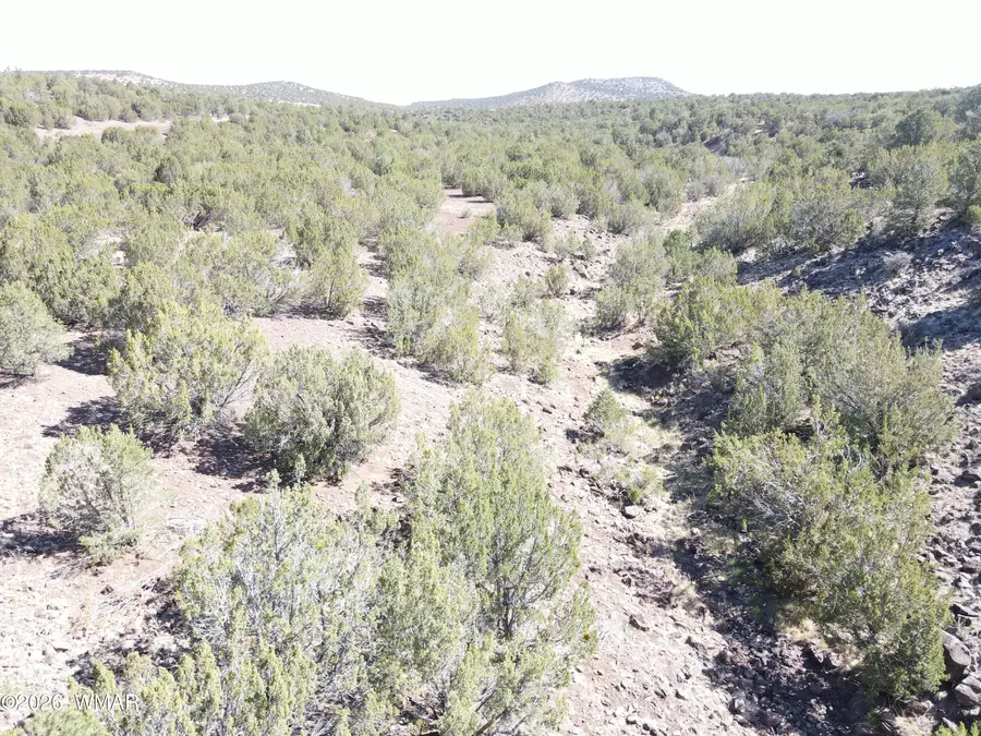 50 County Road 3190, Vernon, AZ 85940 - #2