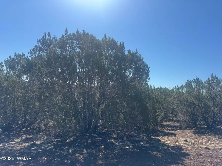 50 County Road 3190, Vernon, AZ 85940 - #3