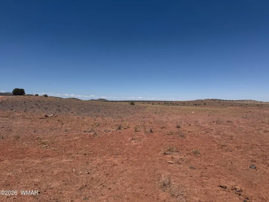 25 N County Road 8445, Concho, AZ 85924 - #3