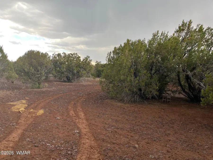 34 County Road 8406, Vernon, AZ 85940 - #2