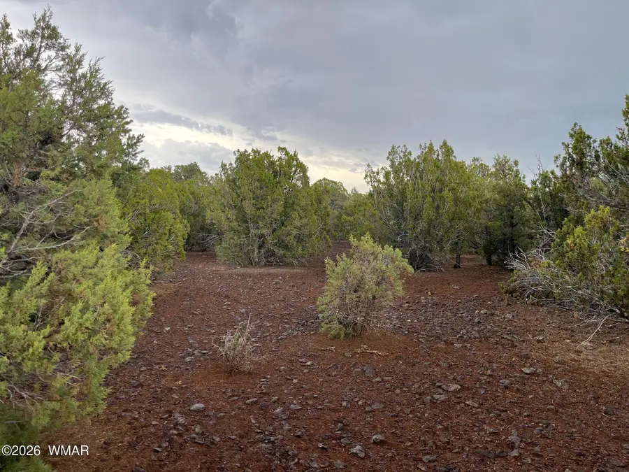34 County Road 8406, Vernon, AZ 85940 - #3
