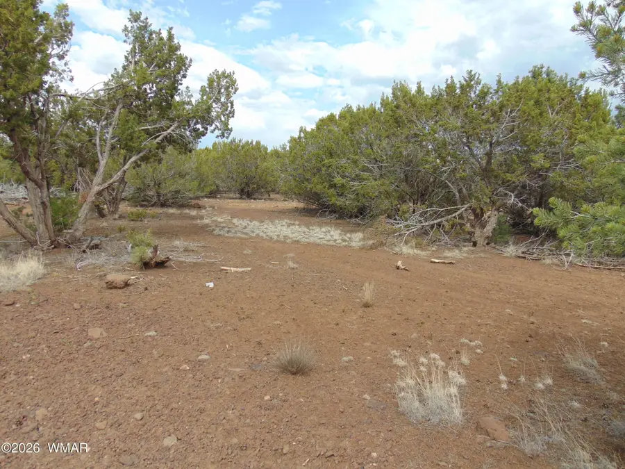 34 N3124, Vernon, AZ 85940 - #2