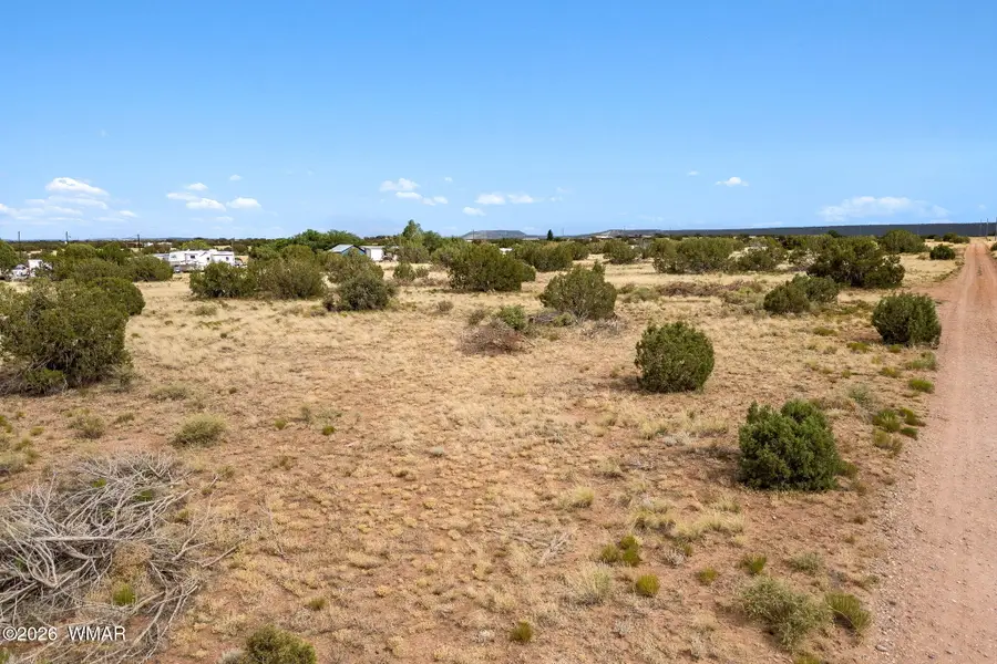 4473 Garibaldi Road, Snowflake, AZ 85937 - #3